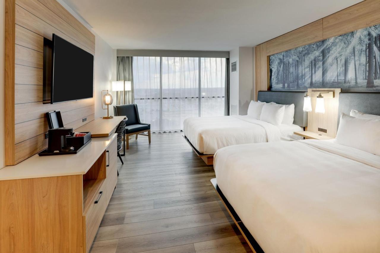 King or Double Room